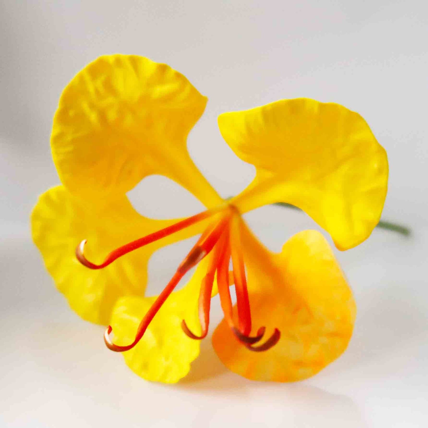 Ohai Ali'i Foam Flower Pick - Yellow (2.75 inch)