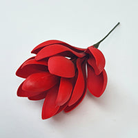 Torch Ginger Foam Flower With Stem - Red