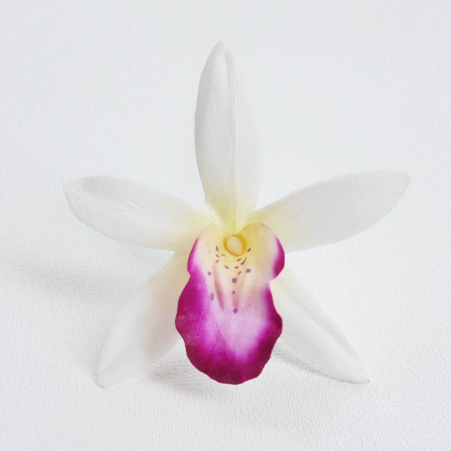 Cattleya Orchid Foam Flower With Stem - White / Bright purple center (2.3 inches)