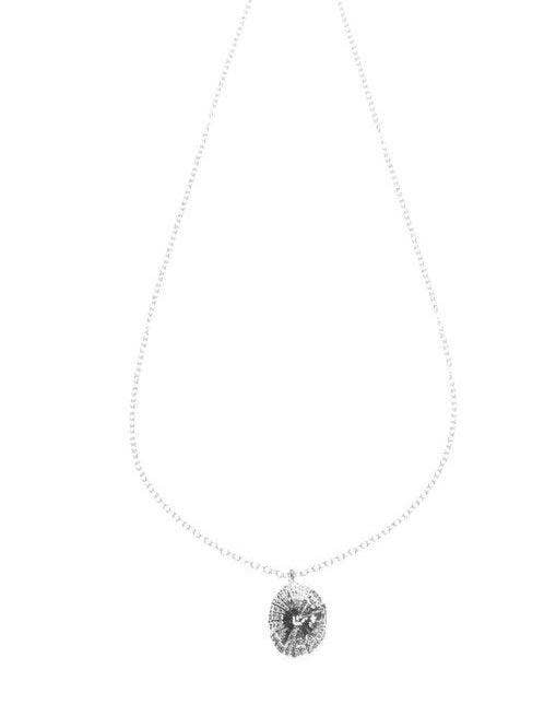 O‘ahu Opihi Shell Necklace