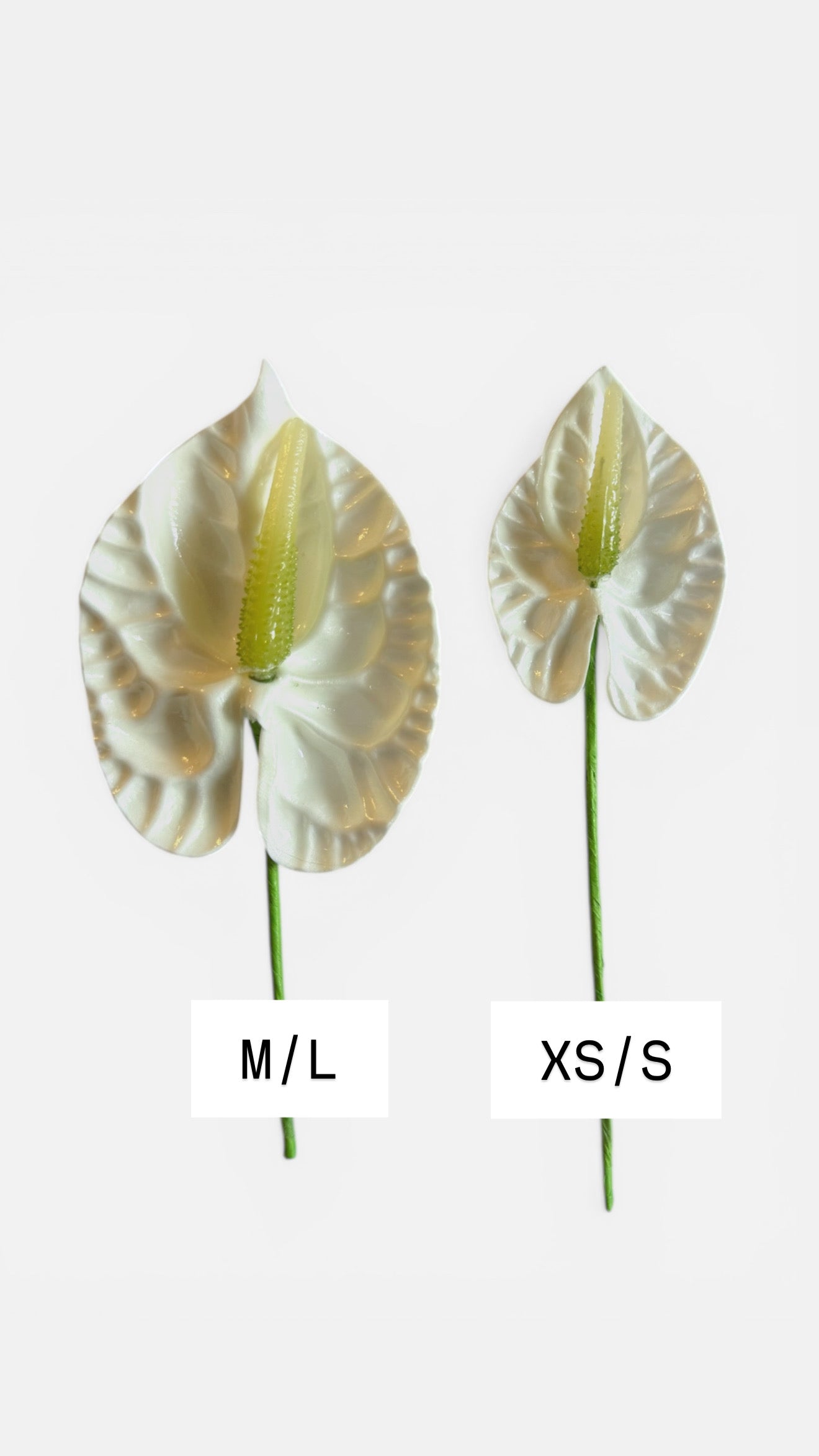 M/L Anthurium Foam Flower with Stem - White (3.75 inches)