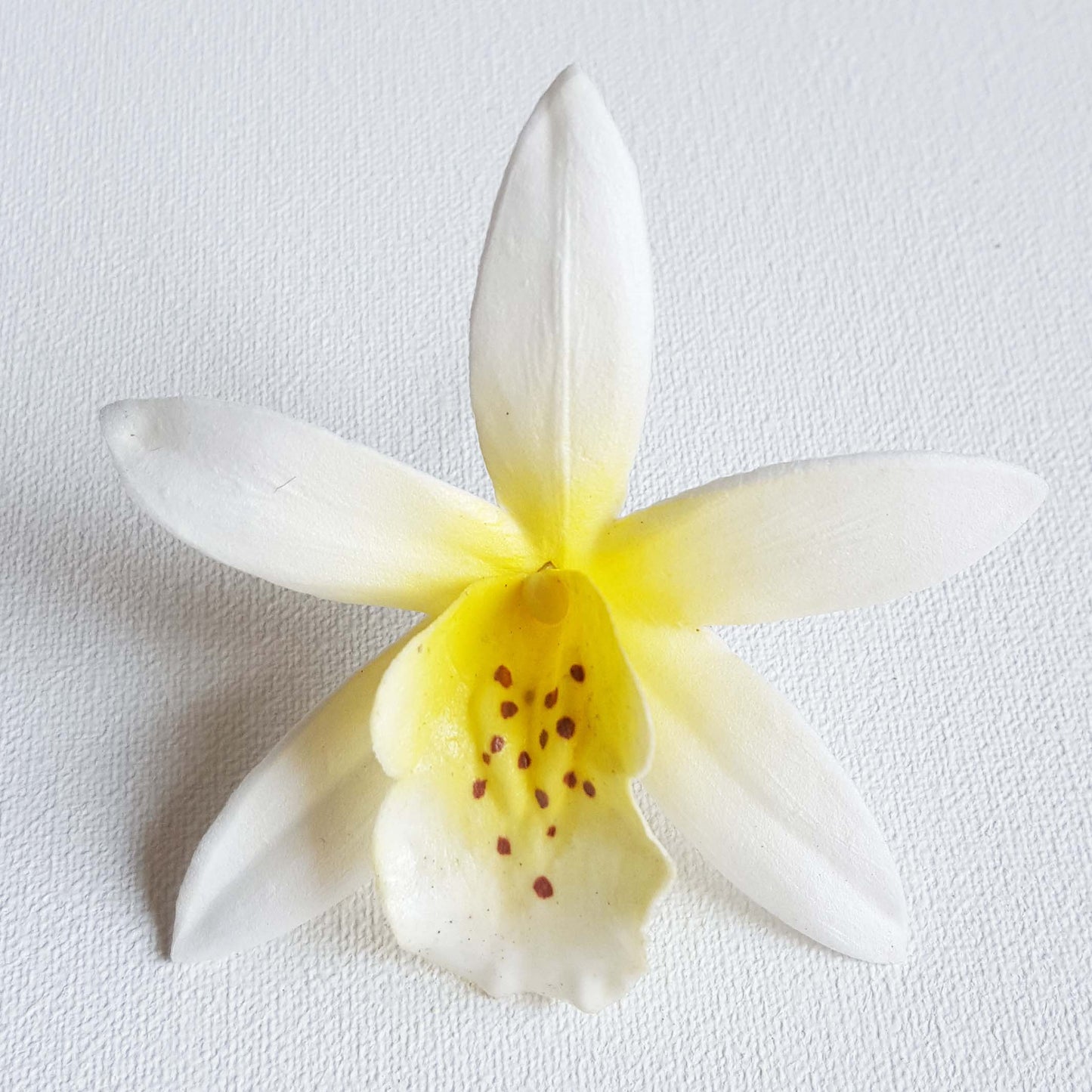 Cattleya Orchid Foam Flower With Stem - White / Yellow center (2.3 inches)