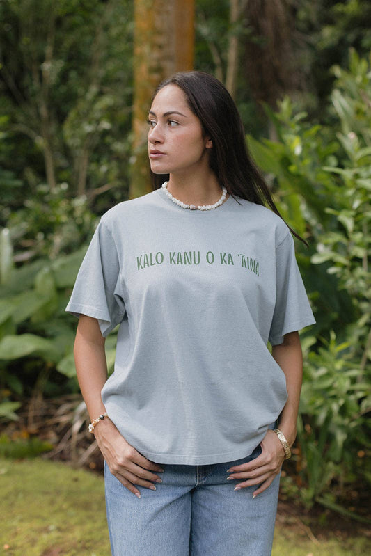 Kalo Kanu o Ka 'Āina Tee - Stone