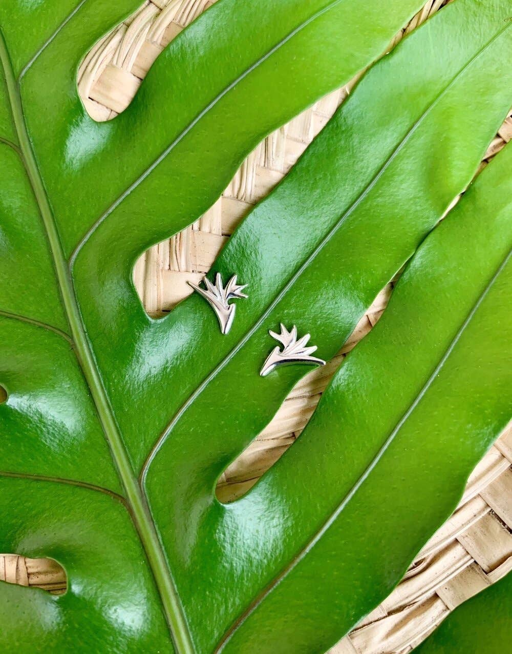 Bird of Paradise Flower Studs