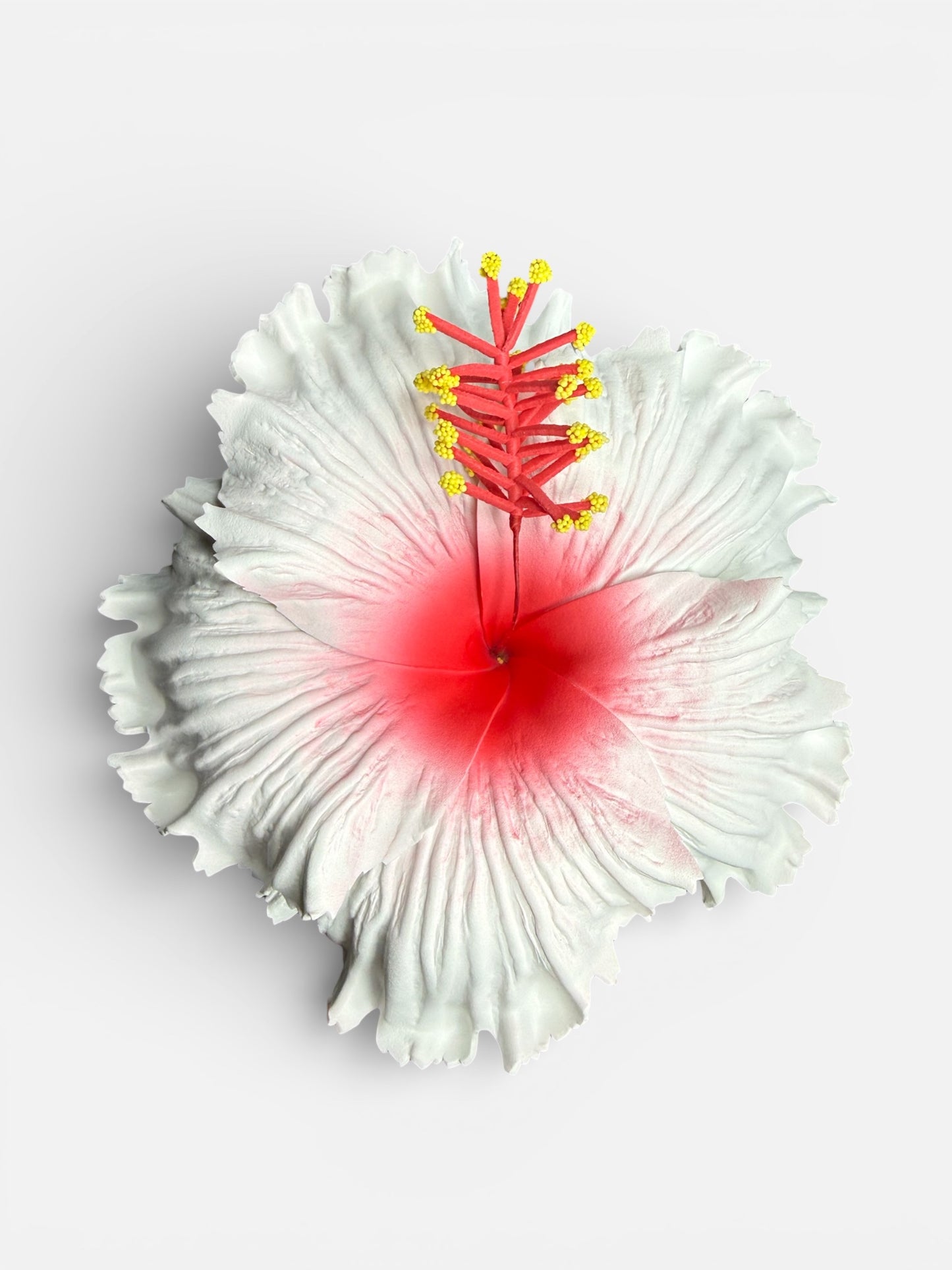 White w/ Red Center Hibiscus (4 inch or 7 inch)