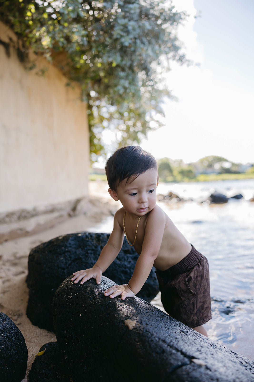 Hanalei Board Shorts - Brown Textile Snake (ONLINE)