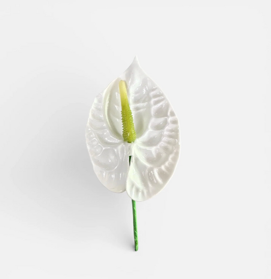 M/L Anthurium Foam Flower with Stem - White (3.75 inches)