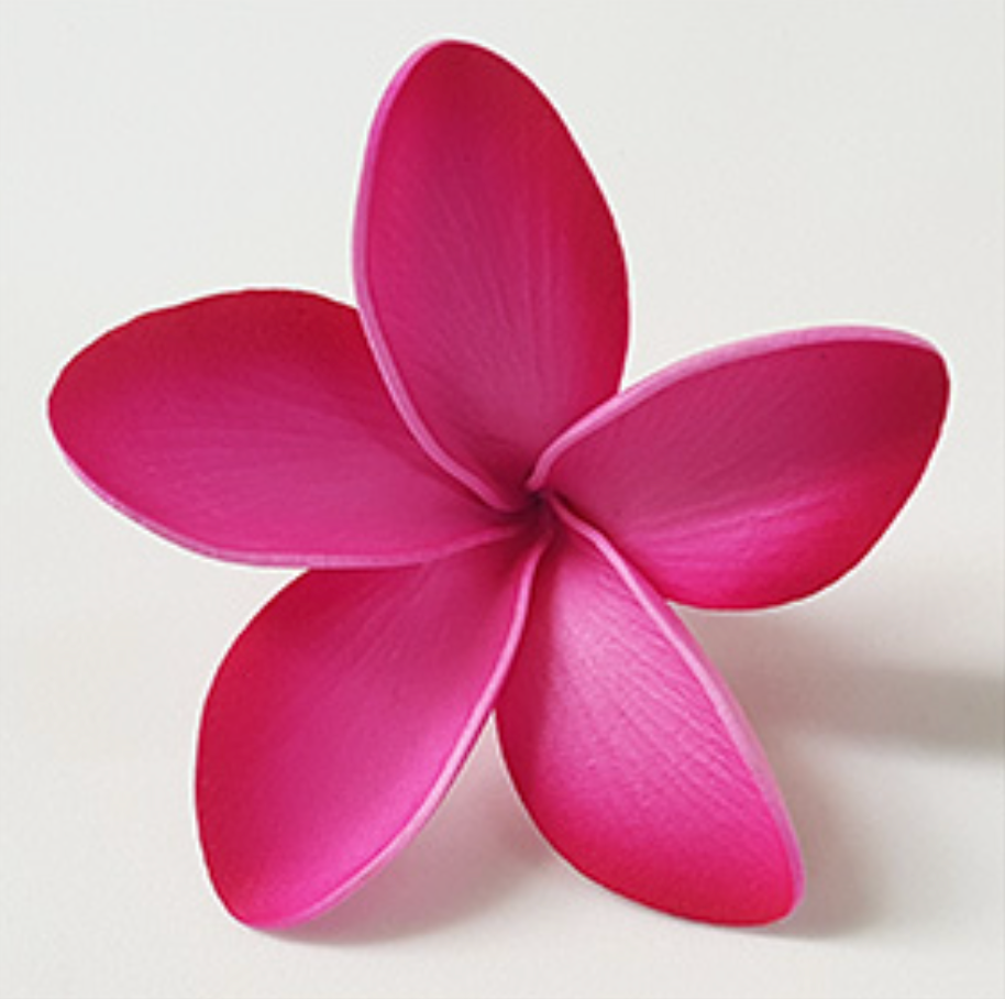 Plumeria Foam Flower With Stem -Pink Ombre (3 inch) FPLU130- 13