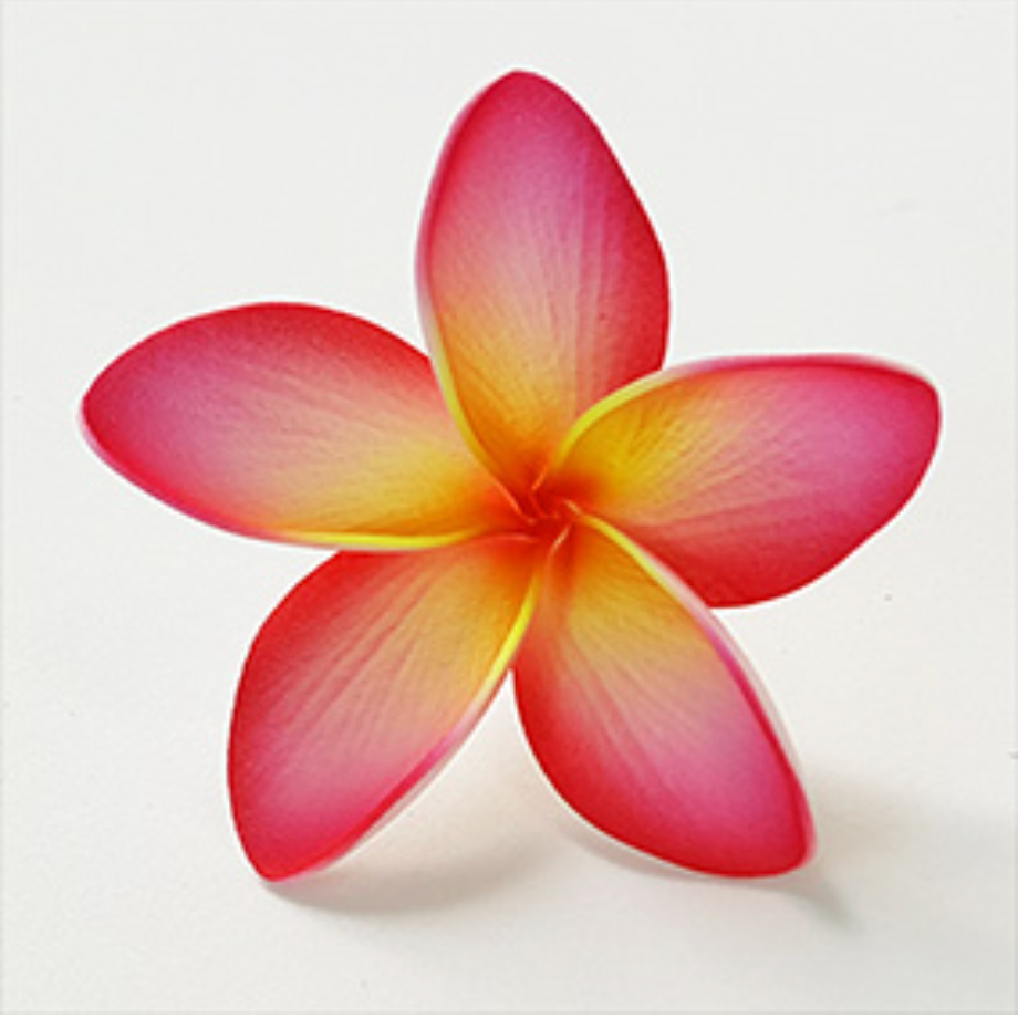 Plumeria Foam Flower With Stem - (3 inch) FPLU130- 14
