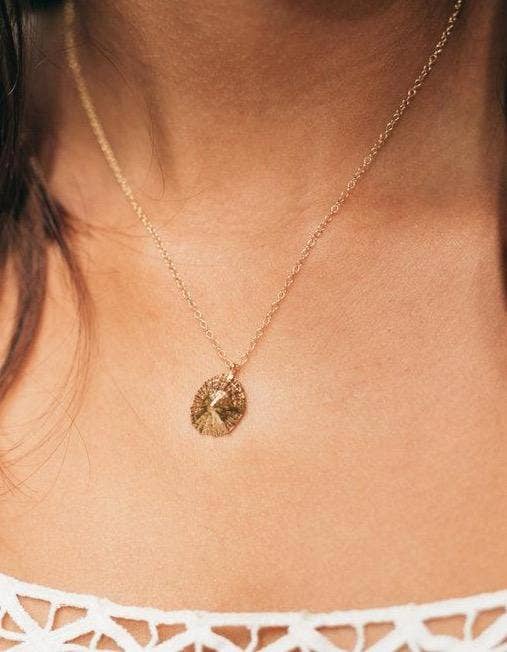 O‘ahu Opihi Shell Necklace