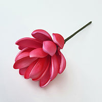 Torch Ginger Foam Flower With Stem - Hot Pink